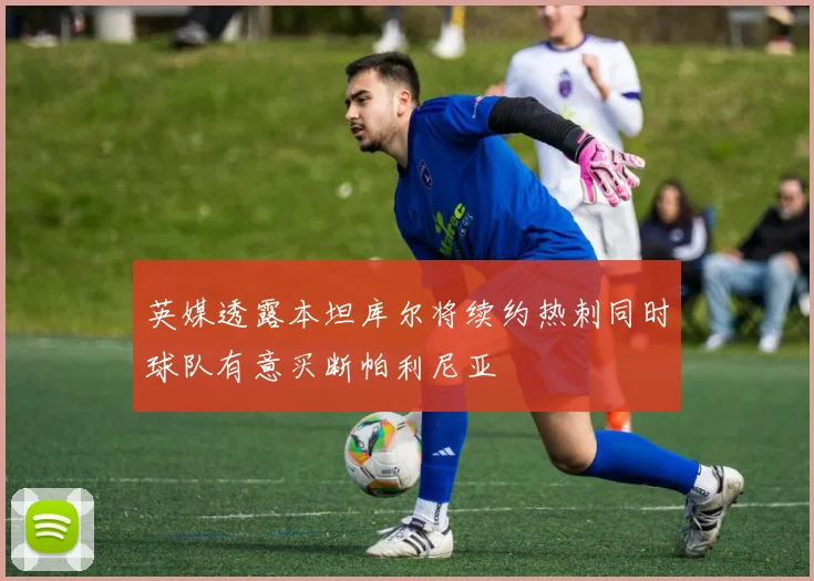 英媒透露本坦库尔将续约热刺同时球队有意买断帕利尼亚