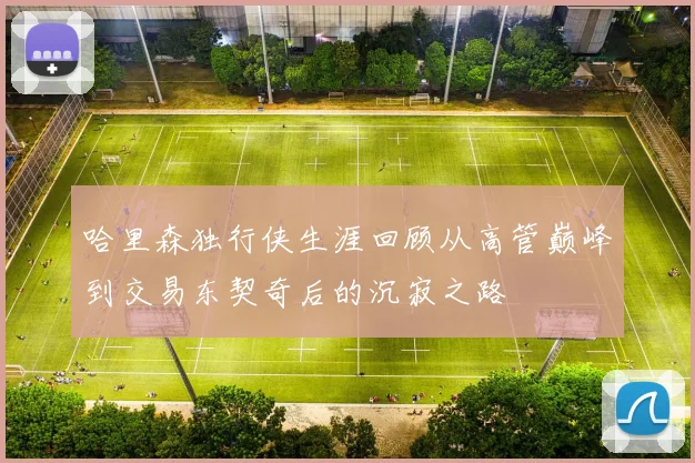 哈里森独行侠生涯回顾从高管巅峰到交易东契奇后的沉寂之路
